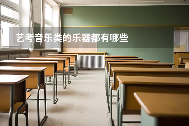 艺考音乐类的乐器都有哪些