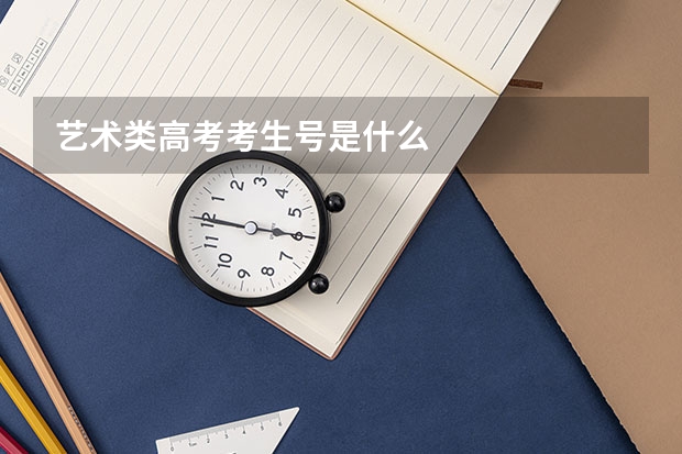 艺术类高考考生号是什么