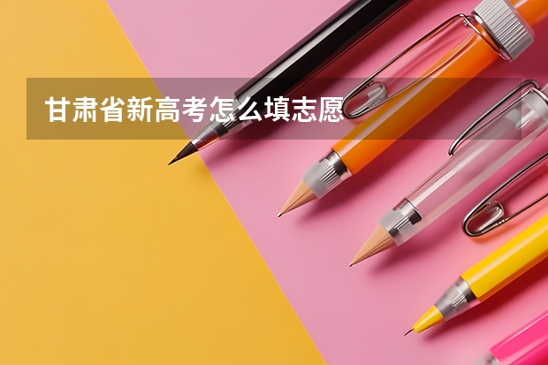 甘肃省新高考怎么填志愿
