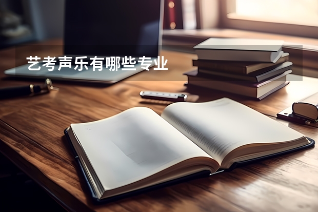 艺考声乐有哪些专业