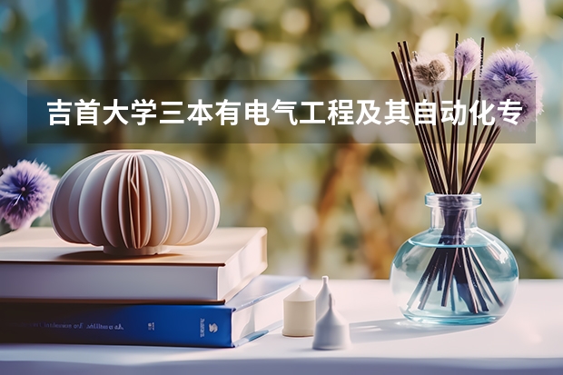 吉首大学三本有电气工程及其自动化专业吗
