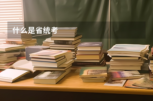 什么是省统考