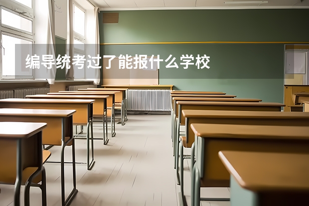 编导统考过了能报什么学校
