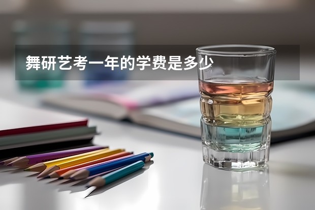 舞研艺考一年的学费是多少