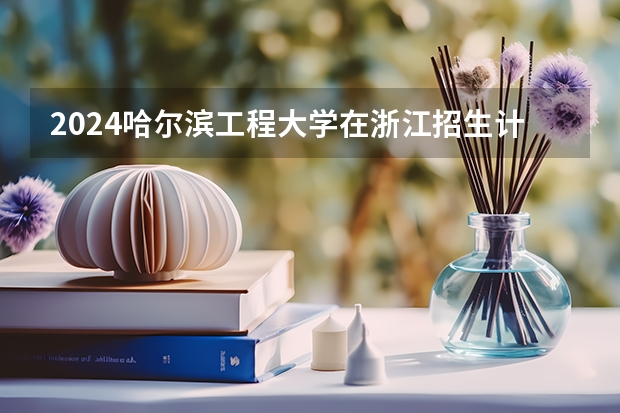2024哈尔滨工程大学在浙江招生计划