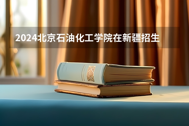 2024北京石油化工学院在新疆招生计划
