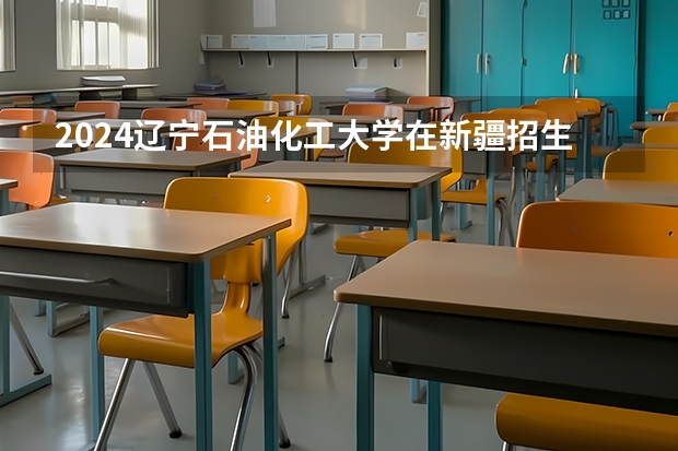 2024辽宁石油化工大学在新疆招生计划