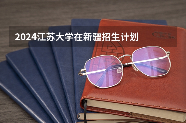 2024江苏大学在新疆招生计划