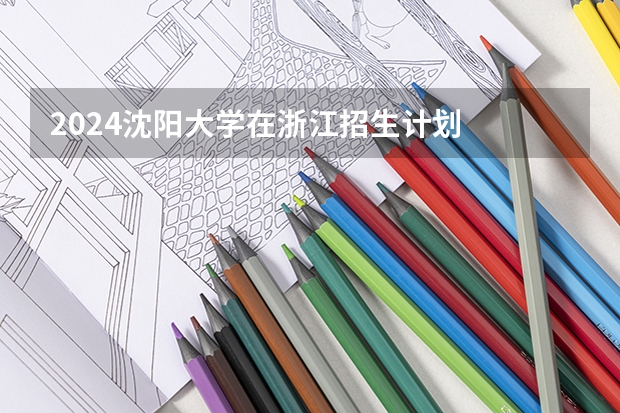 2024沈阳大学在浙江招生计划