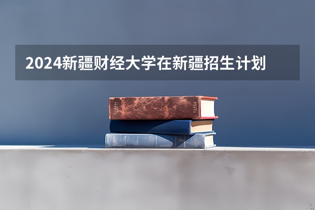2024新疆财经大学在新疆招生计划