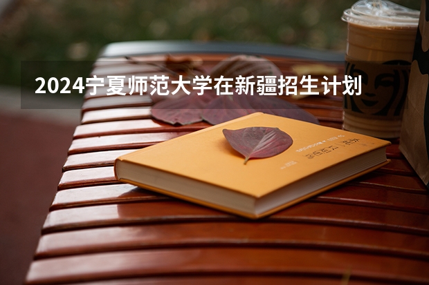 2024宁夏师范大学在新疆招生计划