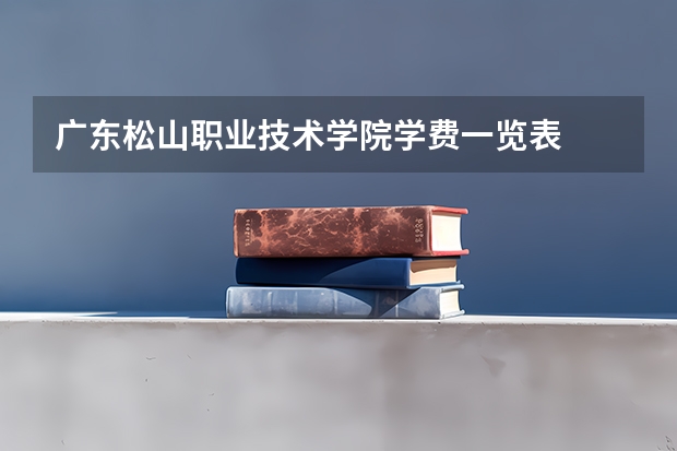 广东松山职业技术学院学费一览表