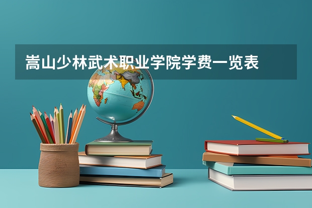 嵩山少林武术职业学院学费一览表