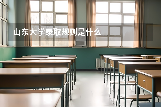 山东大学录取规则是什么