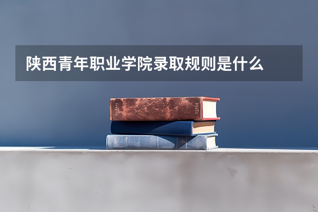 陕西青年职业学院录取规则是什么