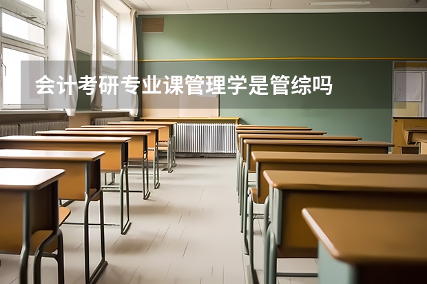 会计考研专业课管理学是管综吗