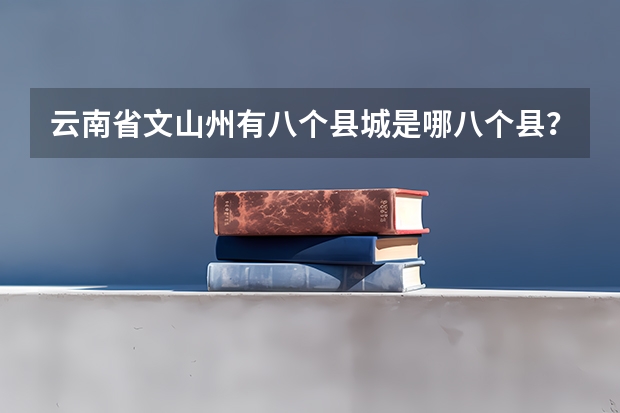 云南省文山州有八个县城是哪八个县？还有红河州有多少个县城？