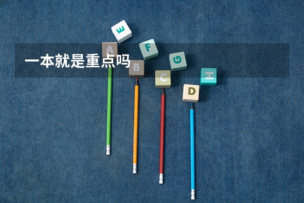 一本就是重点吗
