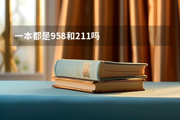 一本都是958和211吗