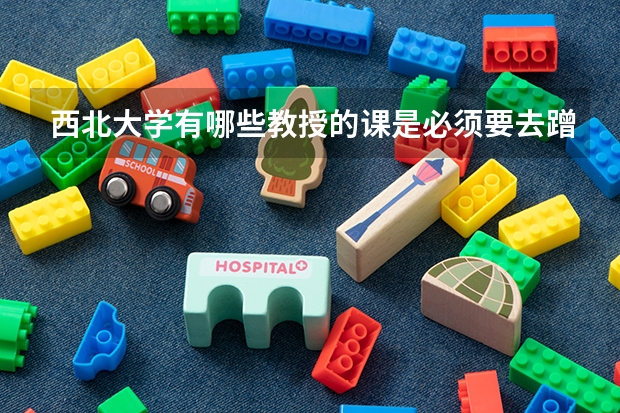 西北大学有哪些教授的课是必须要去蹭的？