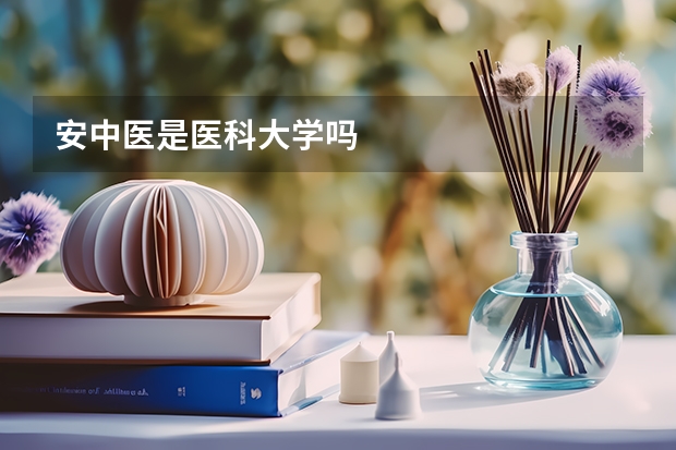 安中医是医科大学吗