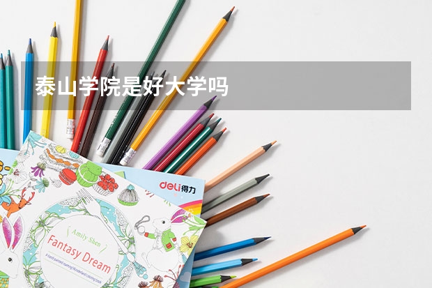 泰山学院是好大学吗