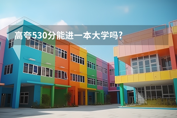 高夸530分能进一本大学吗?