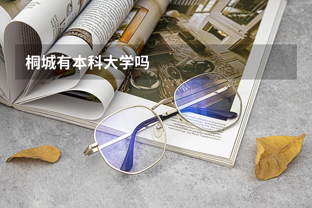 桐城有本科大学吗