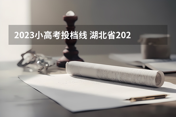 2023小高考投档线 湖北省2023高考投档线