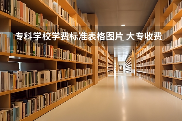 专科学校学费标准表格图片 大专收费标准