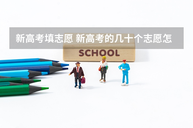 新高考填志愿 新高考的几十个志愿怎么填？如何快速有效的填志愿