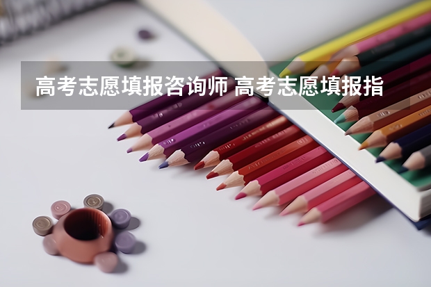 高考志愿填报咨询师 高考志愿填报指南有哪些技巧
